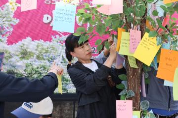 상도권역 이팝나무 꽃 축제